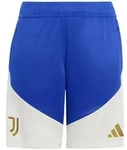 adidas Performance Sporthose adidas Performance blau 176