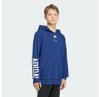 adidas Sportswear Hoodie ADIDAS MARVEL SPIDER-MAN SWEATSHIRT, KAPUZE (1-tlg)