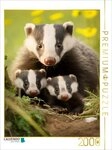 CALVENDO Puzzle CALVENDO Puzzle Ein Motiv aus dem Kalender "Bezaubernde Dachse",