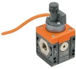 RIEGLER Wasser-Druckschalter Riegler Druckschalter &raquo;SYNTESI&laquo;, BG 2, G 3/4, 2 m