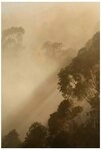 Komar Bild Golden Light, Natur (1 St), Wandbild zur Dekoration - ohne Rahmen