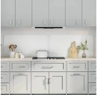 vidaXL K&uuml;chenr&uuml;ckwand, K&uuml;chenr&uuml;ckwand 2 pcs Transparent 100 x 50 cm...