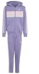adidas Performance Trainingsanzug adidas Kinder Trainingsanzug Seasonal...