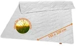 sleepling Sommerbettdecke Wildseidendecke, 135x200 cm, 155x220 cm und weitere