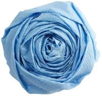 CLAIREFONTAINE Kreppband Krepppapier Pack. 10 Bogen gefaltet 2mx0,50m Himmelblau