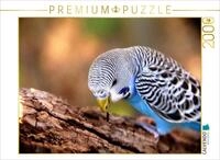 CALVENDO Puzzle CALVENDO Puzzle "Wellensittich Wandschmuck" 2000 Teile Puzzle...