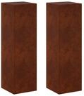 vidaXL Blumenst&auml;nder Pflanzenst&auml;nder 2 pcs Rostoptik 30 x 30 x 100 cm (2 St)