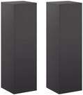 vidaXL Blumenst&auml;nder Pflanzenst&auml;nder 2 pcs Schwarz 30 x 30 x 100 cm Stahl (2...