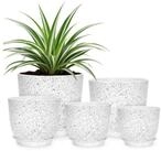 LuxusKollektion Blumentopf Blument&ouml;pfe &Uuml;bertopf Pflanztopf Kunststoff Set...