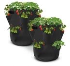 Spetebo Anzuchttopf Erdbeer Pflanzsack 2er Set aus Filz - 45 x 35 cm (Set, 2 St.,