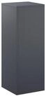 vidaXL Blumenst&auml;nder Pflanzenst&auml;nder Anthrazit 30 x 30 x 80 cm Edelstahl (1...