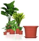 BigDean Blumentopf mit Untersetzer Kunststoff rund (Set, 5 St., Pflanztopf +