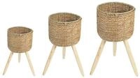 IDIMEX Dekokiste NAPARI (Set), &Uuml;bertopf Blumentopf Pflanzk&uuml;bel...