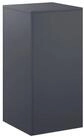 vidaXL Blumenst&auml;nder Pflanzenst&auml;nder Anthrazit 40 x 40 x 80 cm Edelstahl (1...