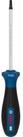 BOSCH Schraubendreher Bosch PRO Schraubendreher TH20 x 100 mm - 1600A039SL
