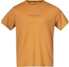 Bergans T-Shirt T-Shirt GRAPHIC WOOL M TEE
