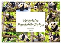 CALVENDO Wandkalender Pandab&auml;r Babys (Tischkalender 2027 DIN A5 quer), CALVENDO