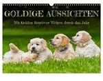 CALVENDO Wandkalender Goldige Aussichten - Mit Golden Retriever Welpen durch...