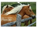 CALVENDO Wandkalender Pferde - Hobby und Leidenschaft (Wandkalender 2027 DIN A4
