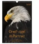 CALVENDO Wandkalender Greifv&ouml;gel im Portrait (Wandkalender 2027 DIN A4 hoch),