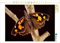 CALVENDO Puzzle CALVENDO Puzzle Z&uuml;rgelbaumfalter (Libythea celtis) 1000 Teile...
