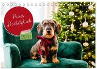 CALVENDO Wandkalender Pures Dackelgl&uuml;ck (Tischkalender 2027 DIN A5 quer),...