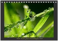 CALVENDO Wandkalender Meine kleine gr&uuml;ne Wassertropfen Welt (Tischkalender...