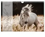 CALVENDO Wandkalender Pferde - Spiegel deiner Seele (Wandkalender 2027 DIN A4...