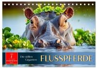 CALVENDO Wandkalender Flusspferde - die stillen Giganten (Tischkalender 2027...