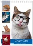 CALVENDO Wandkalender Crazy Catz. (Tischkalender 2027 DIN A5 hoch), CALVENDO