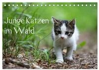 CALVENDO Wandkalender Junge Katzen im Wald (Tischkalender 2027 DIN A5 quer),...