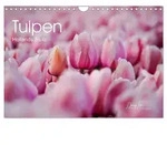CALVENDO Wandkalender Tulpen - Hollands Stolz (Wandkalender 2027 DIN A4 quer),