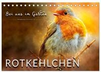 CALVENDO Wandkalender Bei uns im Garten - Rotkehlchen (Tischkalender 2027 DIN A5