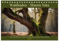 CALVENDO Wandkalender Waldbaden - Shinrin Yoku (Tischkalender 2027 DIN A5 quer),