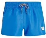 Protest Badeshorts PRTTAYLOR JR (1-St) blau 128