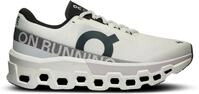ON RUNNING Cloudmonster 2 White, Frost Laufschuh