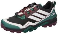 adidas TERREX adidas TERREX Herren Wanderschuhe SKYCHASER GTX Trekkingschuh