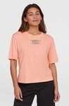 O'Neill T-Shirt SUMMER MUSTHAVES BACK PRINT T-SHIRT mit wasserbasierten Prints...