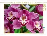 CALVENDO Puzzle CALVENDO Puzzle Hybrid-Cymbidium, 1000 Teile Lege-Gr&ouml;&szlig;e 64 &times;...