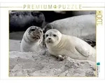 CALVENDO Puzzle CALVENDO Puzzle Kegelrobben, 1000 Teile Lege-Gr&ouml;&szlig;e 64 &times; 48 cm