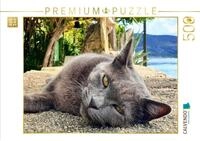 CALVENDO Puzzle CALVENDO Puzzle Katzenportrait auf der Insel Cres in Kroatien,...