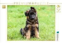 CALVENDO Puzzle CALVENDO Puzzle Sch&auml;ferhund - Welpe H&uuml;ndin, 500 Teile...