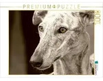 CALVENDO Puzzle CALVENDO Puzzle Galgo Espa&ntilde;ol, 1000 Teile Lege-Gr&ouml;&szlig;e 64 &times;...