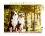 CALVENDO Puzzle CALVENDO Puzzle Ein Motiv aus dem Kalender Australian Shepherds
