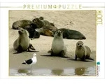 CALVENDO Puzzle CALVENDO Puzzle Seehunde auf der Sandbank, 1000 Teile...