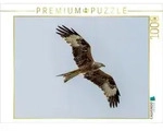 CALVENDO Puzzle CALVENDO Puzzle Roter Milan, 1000 Teile Lege-Gr&ouml;&szlig;e 64 &times; 48 cm