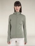 ICEBREAKER Fleecejacke DA Mer 260 Quantum IV LS Zip Ho