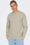 Sweatshirt ONLY & SONS "ONSCERES CREW NECK NOOS", Herren, Gr. XXL, beige (silber