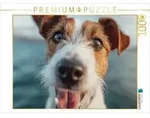 CALVENDO Puzzle CALVENDO Puzzle Frischer Wind und treue Augen, 1000 Teile