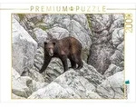CALVENDO Puzzle CALVENDO Puzzle B&auml;r in der Felslandschaft, 2000 Teile...